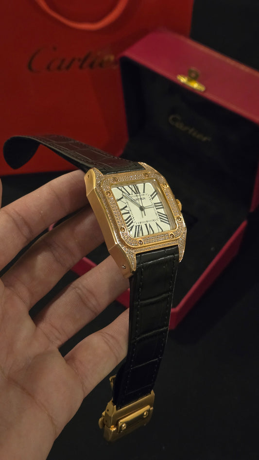 CARTIER - SANTOS BRSW