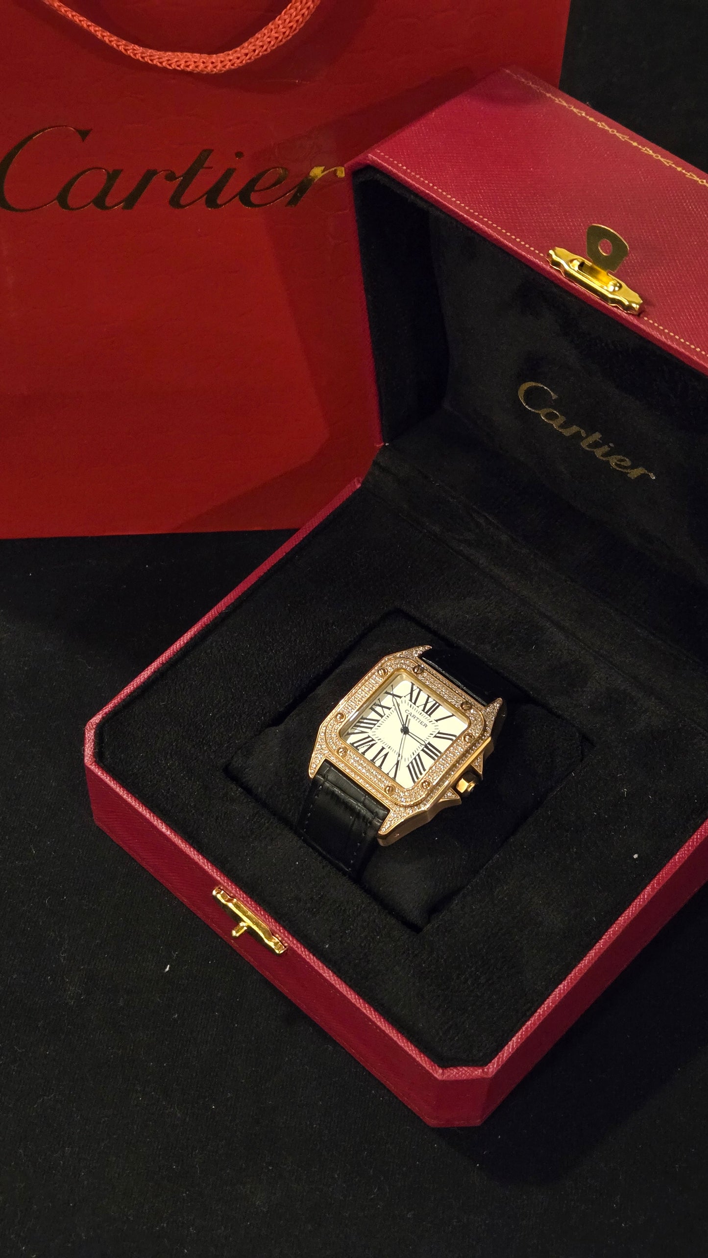 CARTIER - SANTOS BRSW