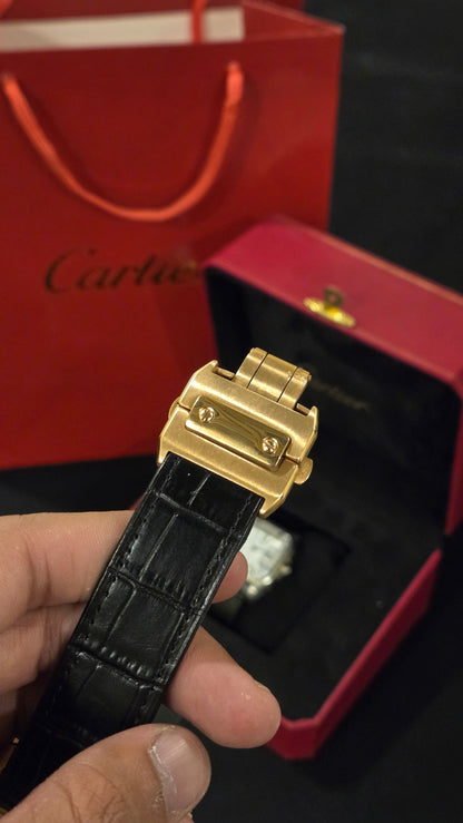 CARTIER - SANTOS BRSW