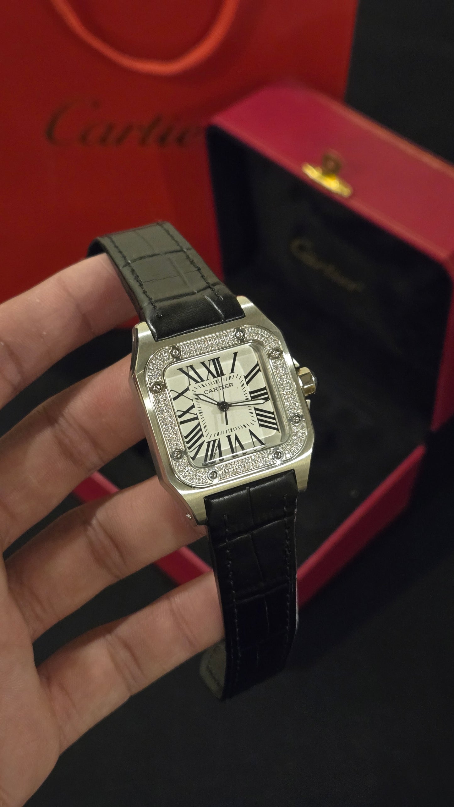 CARTIER - SANTOS W BW
