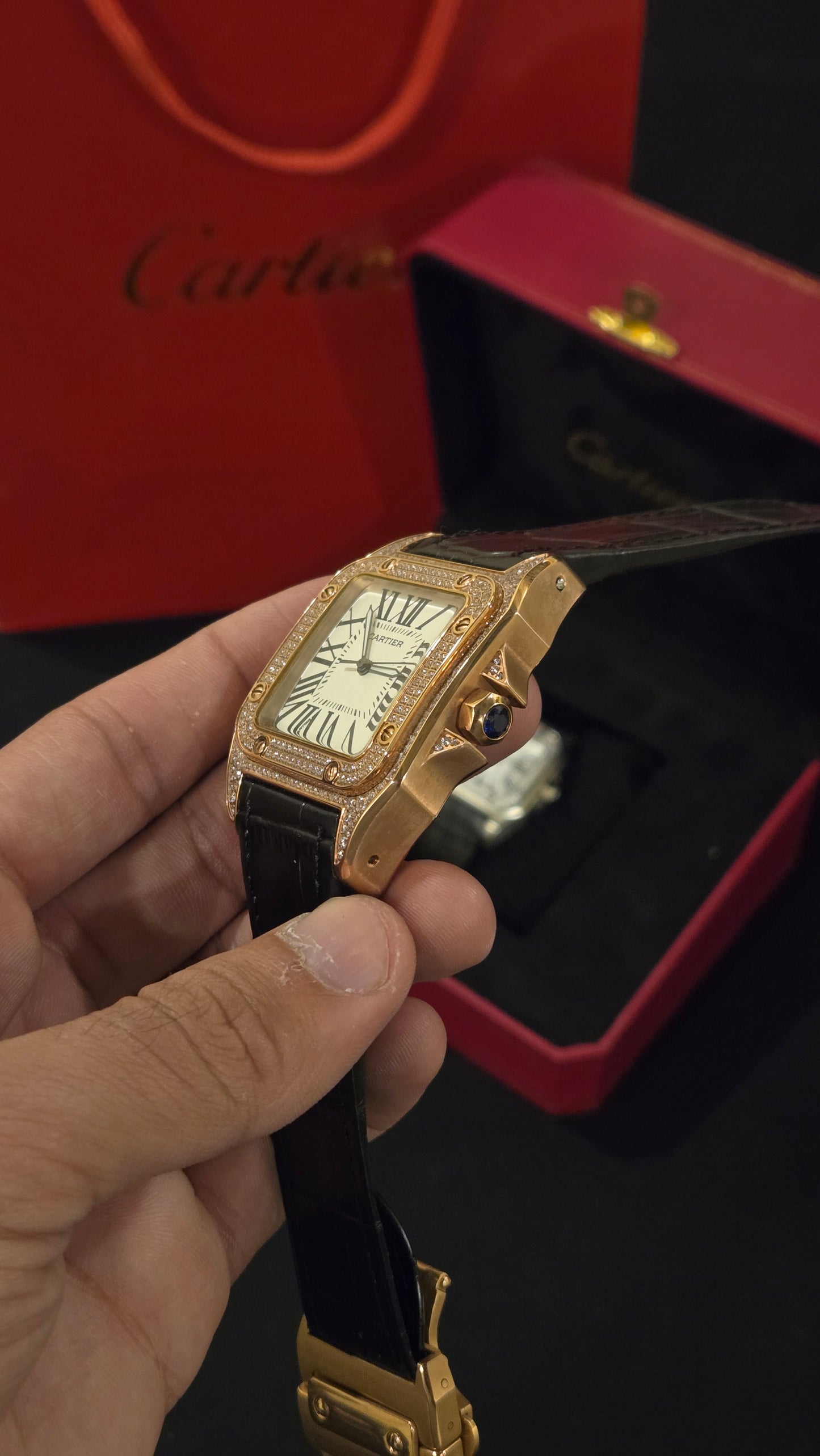 CARTIER - SANTOS BRSW