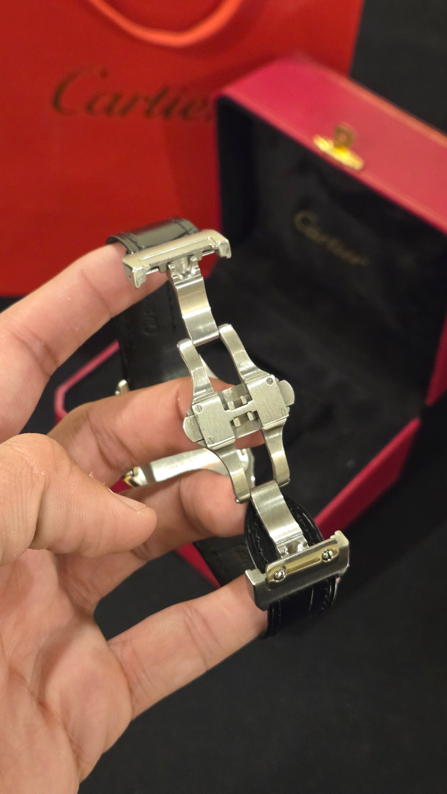 CARTIER - SANTOS W BW